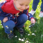 20150424_104342_resized_1
